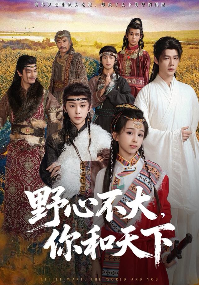 野心不大，你和天下(全集)