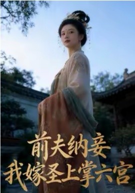 前夫納妾，我嫁圣上掌六宮(全集)