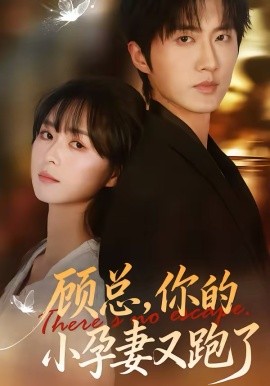 顧總，你的小孕妻又跑了(全集)